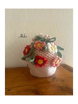 13 Akiko Ka / Mar.2026